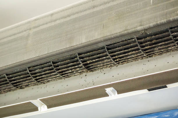 Best HVAC Air Duct Cleaning  in Anacortes, WA
